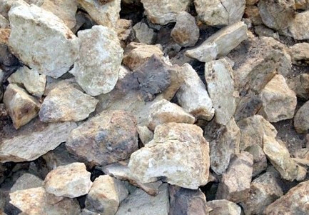 南沙港矿石进口报关操作流程