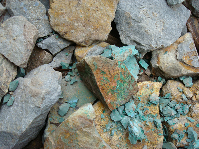 南沙港非洲矿石进口报关公司-进口矿石代理