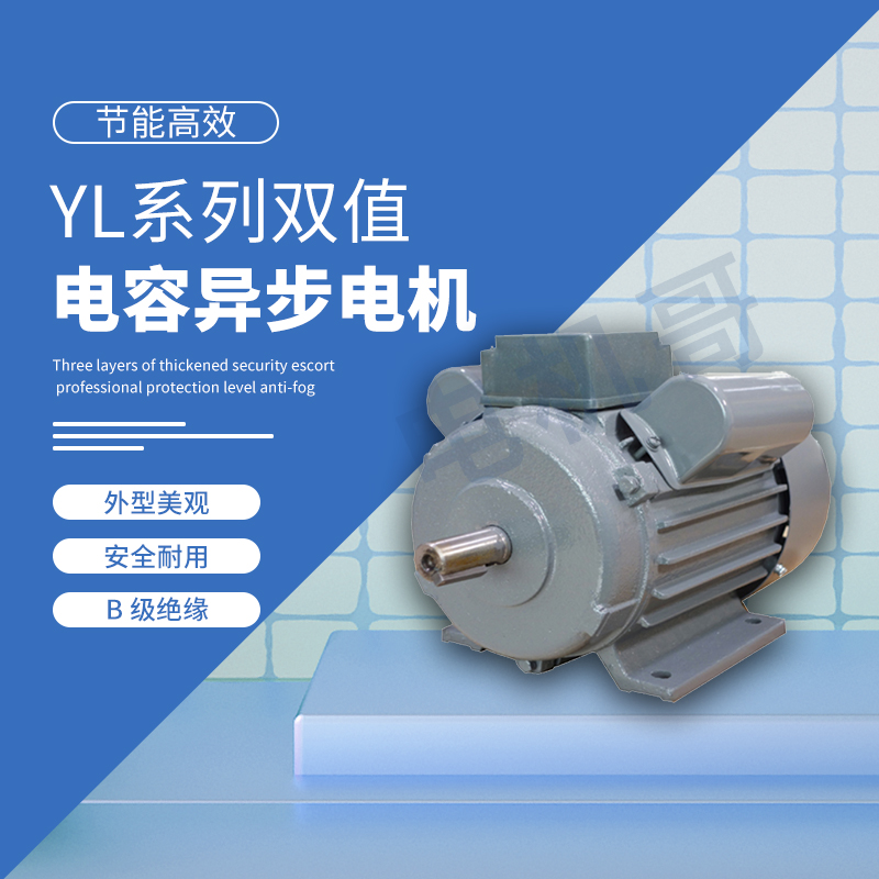 红河哈尼族彝族自治州皖南电机 YL 系列双值电容异步电动机 适用于金属切削机床