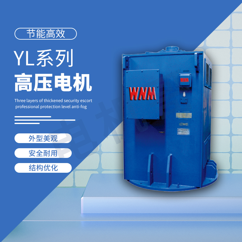 280电机 YL系列立式高压相交流异步电动机 安全可靠