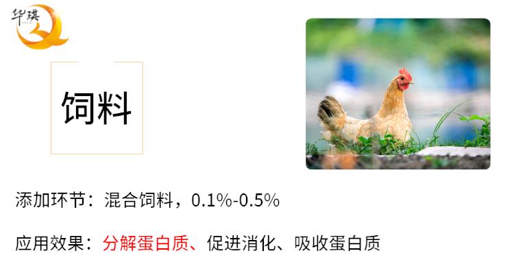 广州木瓜蛋白酶水解效率高