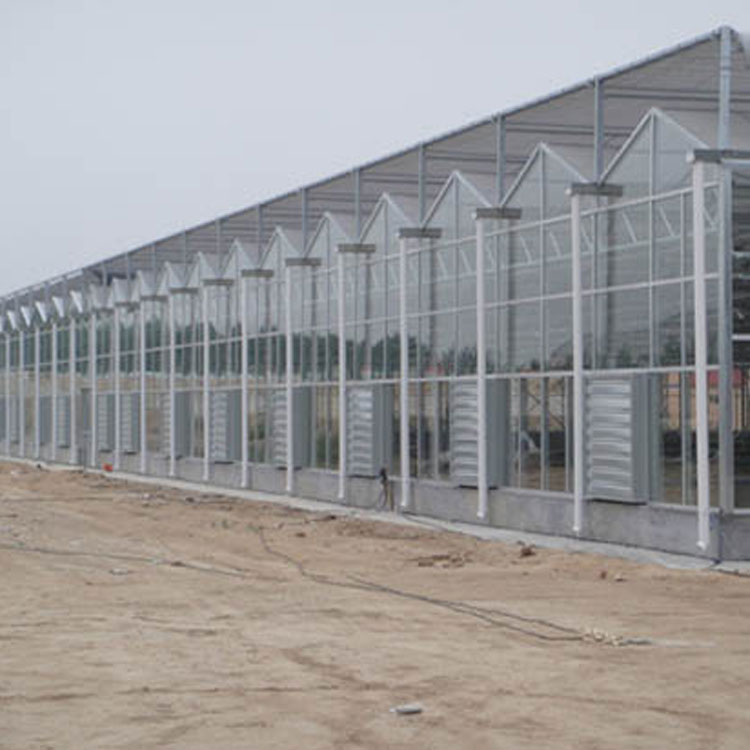 玻璃大棚 厂家定制玻璃温室加工 玻璃温室建造方案
