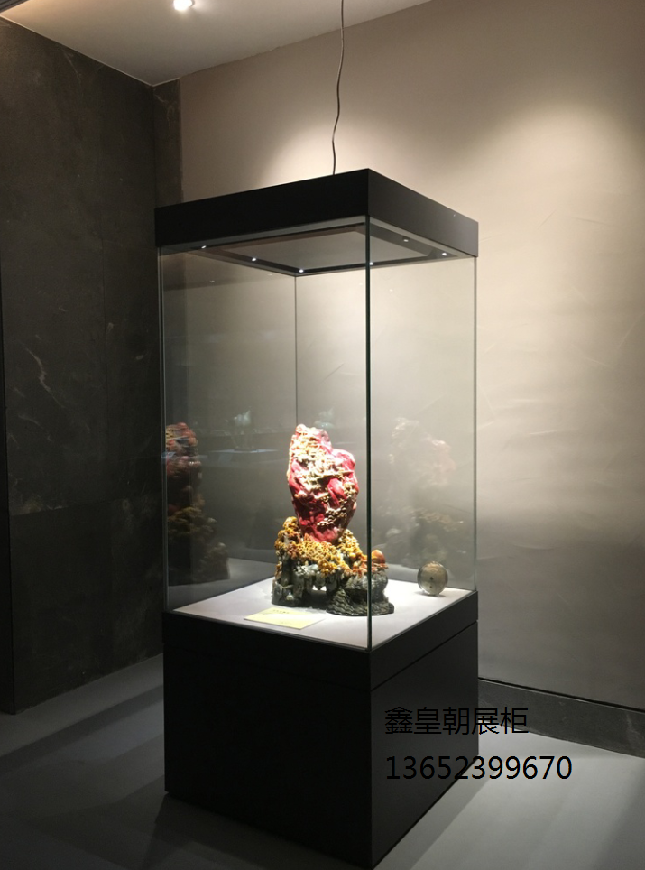 广东省级博物馆展柜制作案例