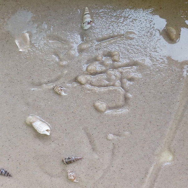 贵州贵阳那里有海沙，遵义海沙颗粒可定制