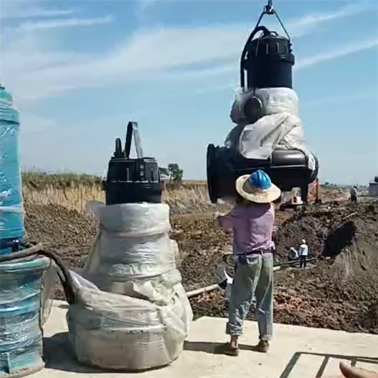 耦合式清水排污泵 天津发货