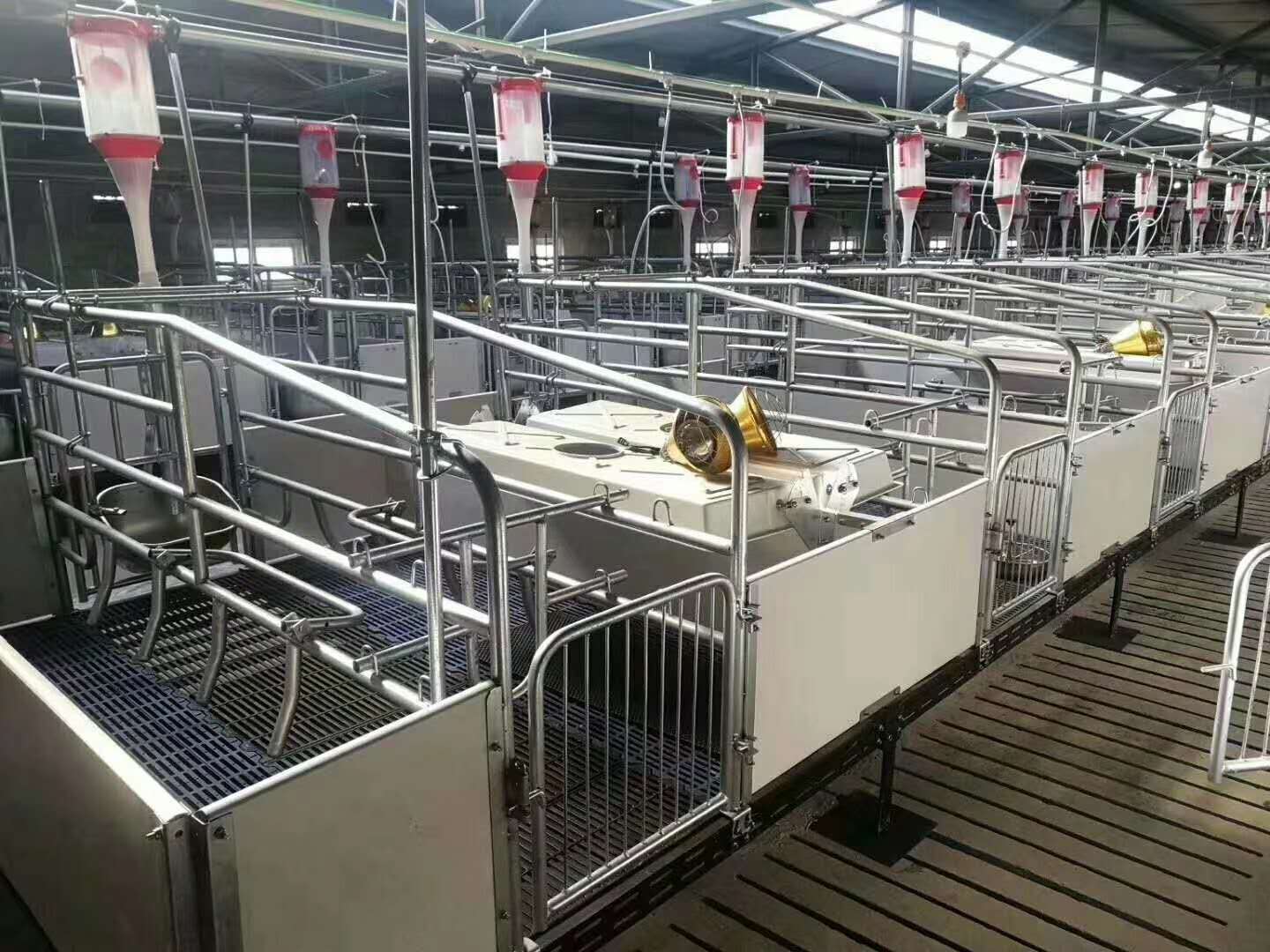 畜牧养殖设备欧式产床