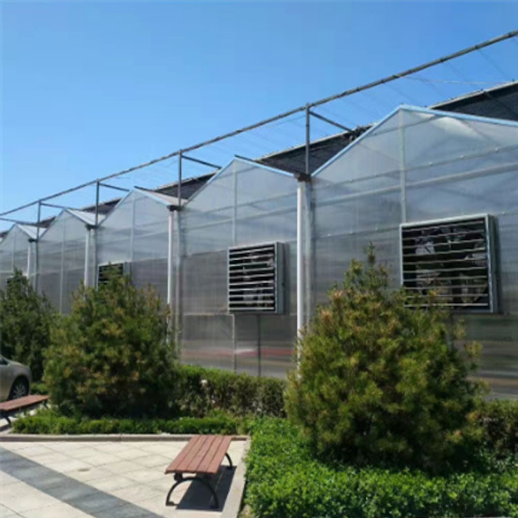 文络智能玻璃温室 中空钢化玻璃覆盖 智能化控制系统