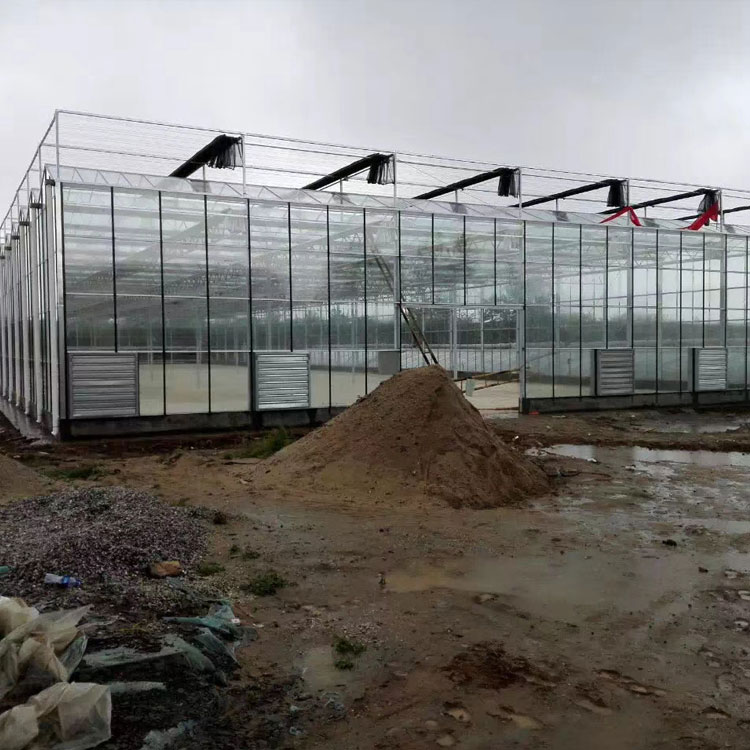 花卉温室大棚工程 玻璃温室大棚工程 淼创农业科技建造