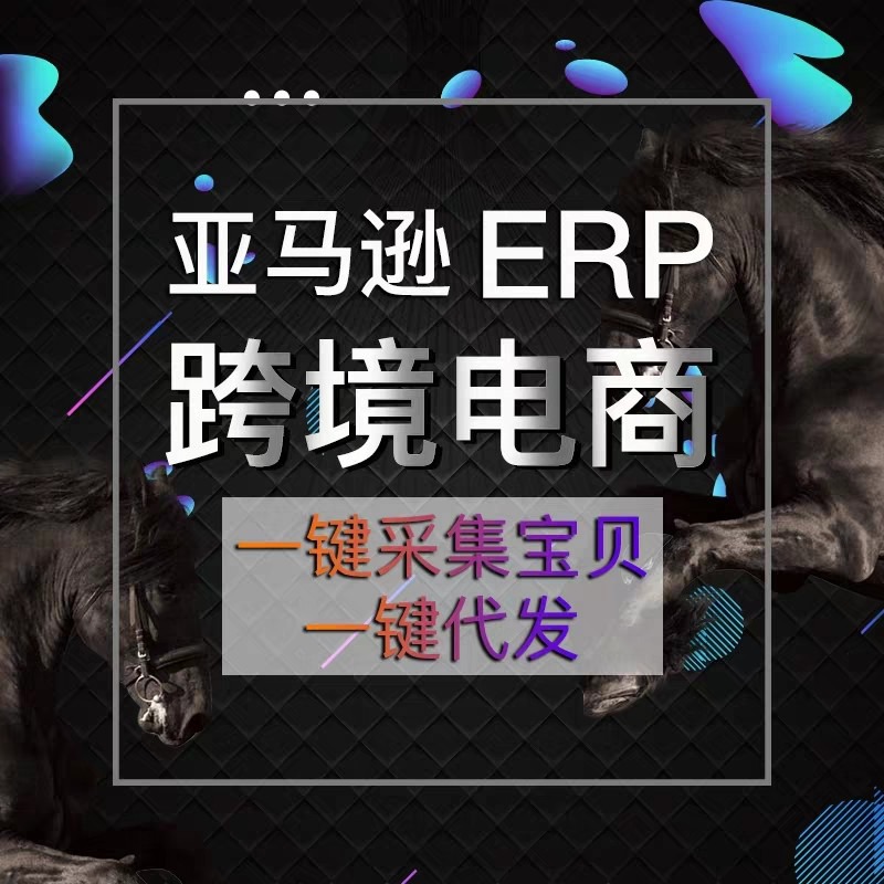 跨境电商亚马逊ERP系统 贴牌代理*