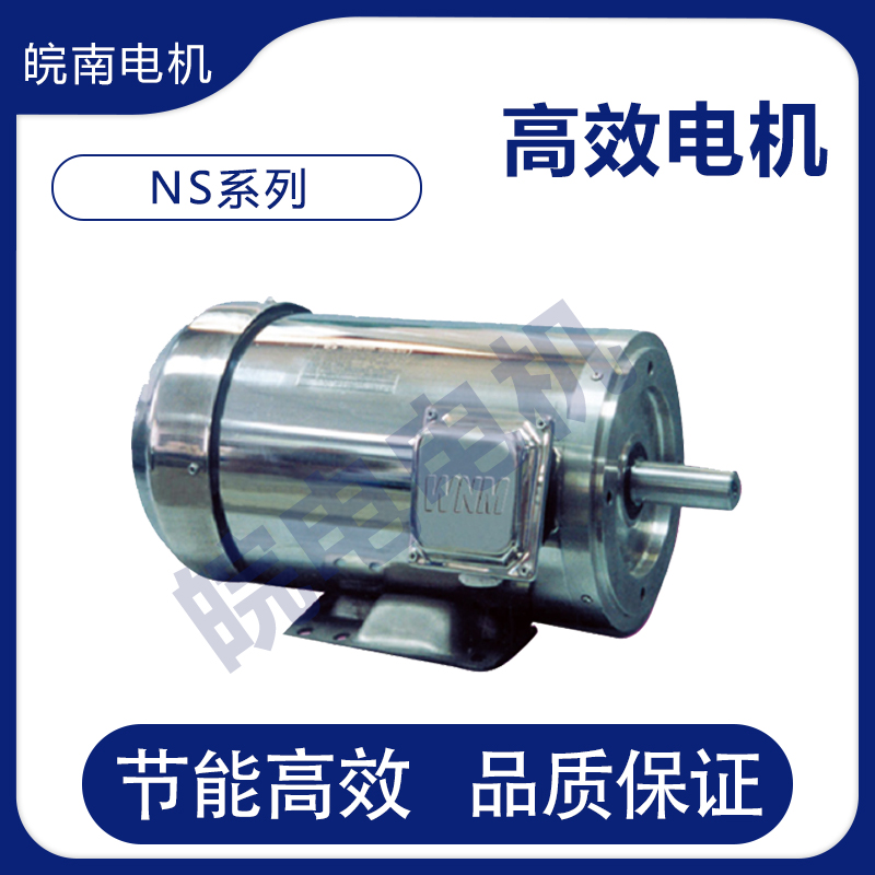 临沧皖南电机 NS系列**高效不锈钢三相异电动机 适用于食品机械
