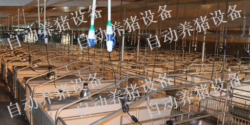 新余养猪场设备哪里有卖 创新服务 江西增鑫科技供应