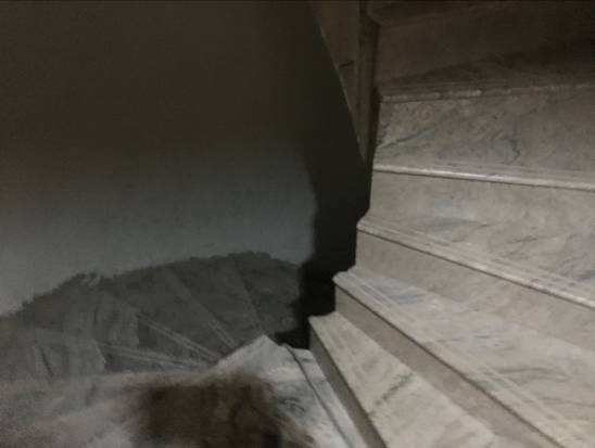 【鋼結構房屋檢測】鋼結構工程都需要做什么檢驗呢？