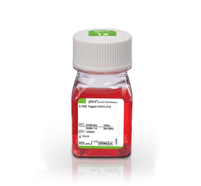 胰蛋白酶-EDTA消化液0.25% 含酚红 胰酶