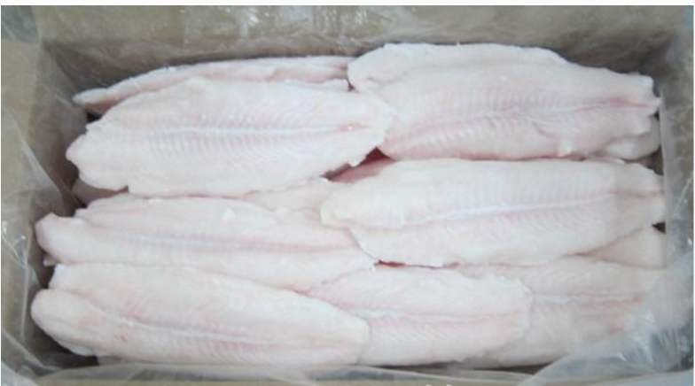 斐济实力的冷冻鱼进口报关流程