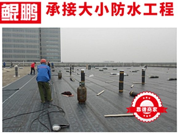 五华区厂房防水工程 欢迎来电 云南鲲鹏防水工程供应