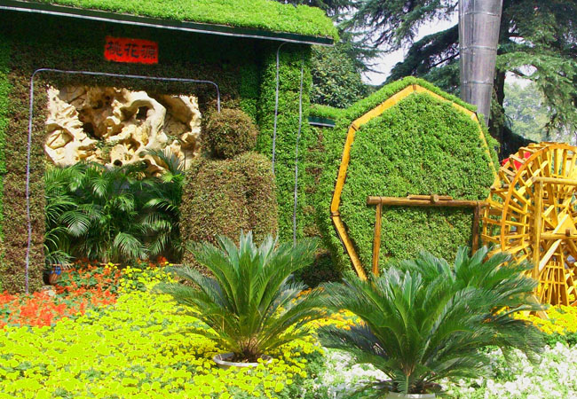植物绿雕 陕西花卉花墙产地 观赏性强 包养护