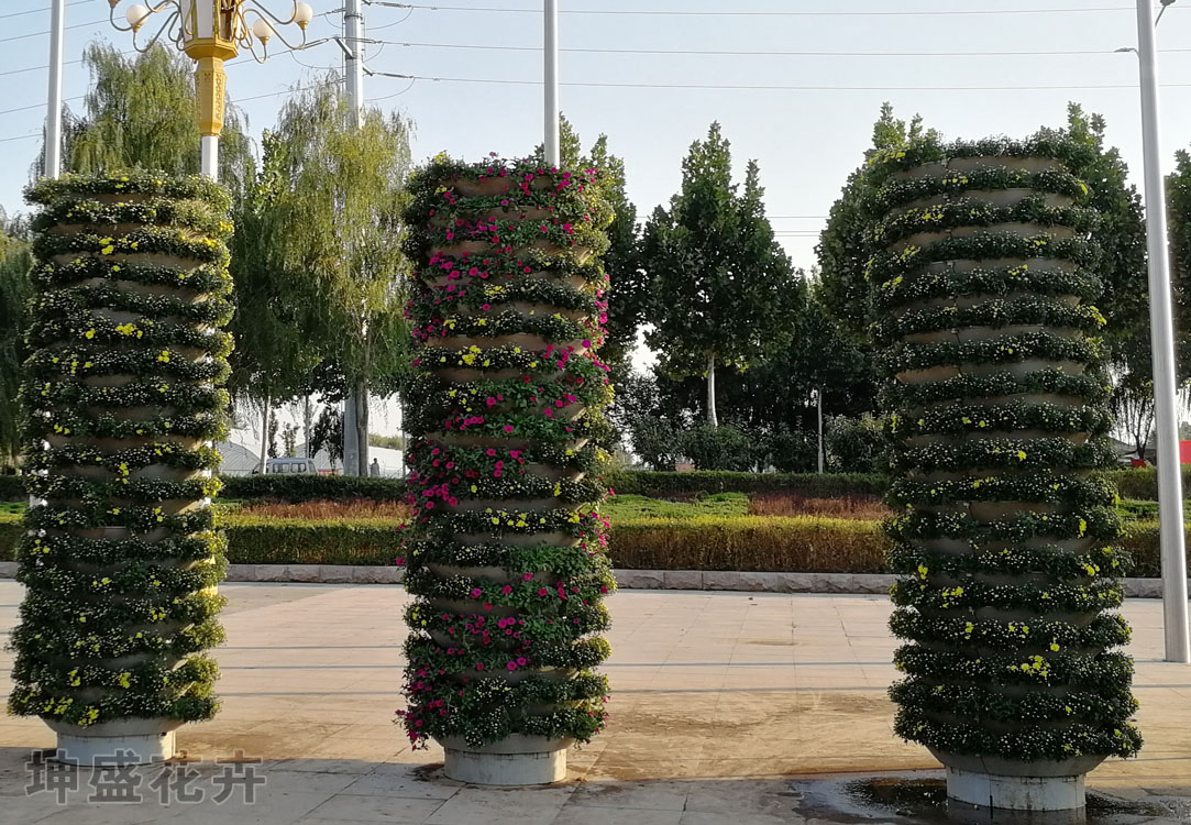 绿雕造型 安徽花卉租摆前景 多年行业经验 景观种类齐全