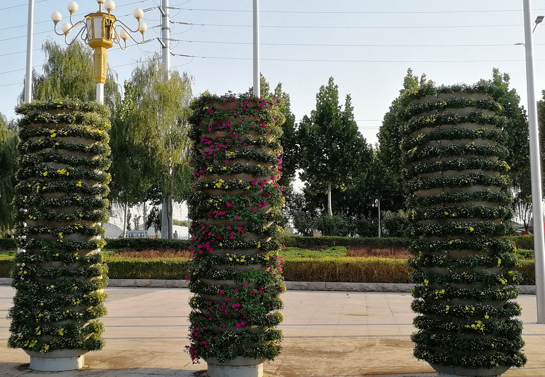 五色草绿雕 襄阳植物绿雕设计 种杆基地 品种齐全