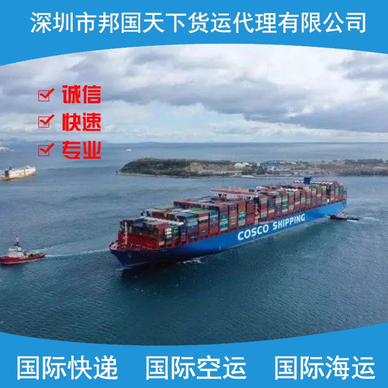 海运出口意大利西班牙亚马逊FBA双清包税派送到门货代物流DDP