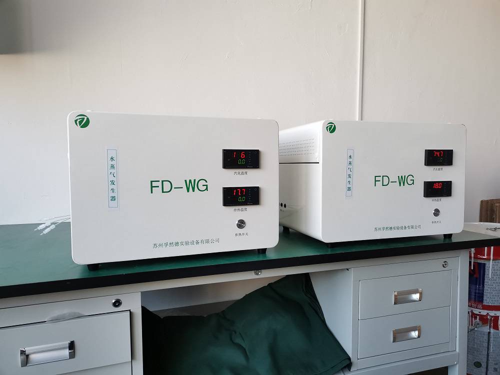 供应FD-WGX实验室大流量水蒸气发生器