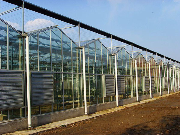 玻璃温室、玻璃连栋温室、新型玻璃温室、玻璃智能连栋温室