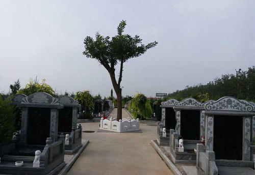 天津市西园的公墓怎么样
