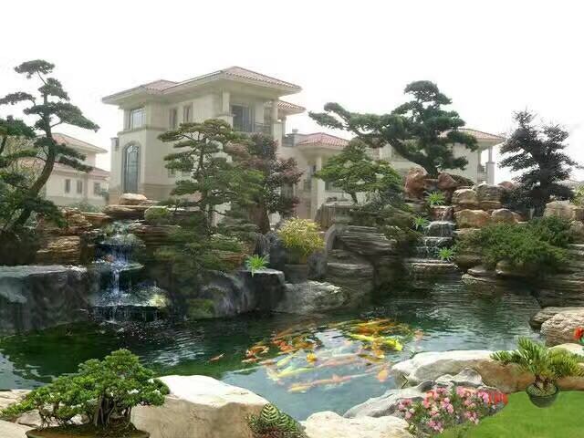 亳州锦鲤鱼池设计 家庭鱼池水变绿处理 免费上门设计
