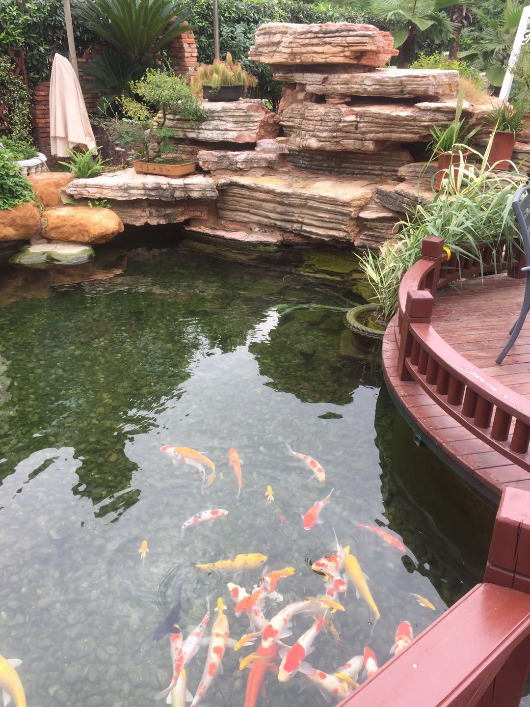 荆州德国锦鲤鱼池设计厂家 庭院鱼池过滤系统设计 操作简单