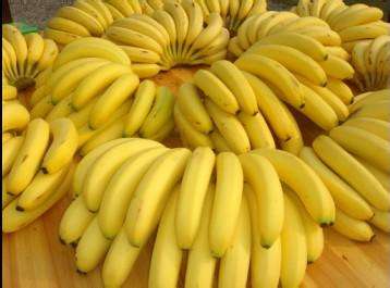 厄瓜多尔香蕉出口到广州海空运清关代理