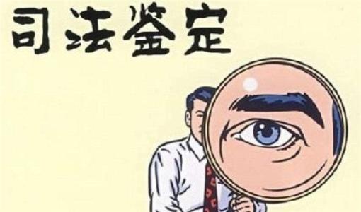 司法亲子鉴定的5大用途你知道几个？