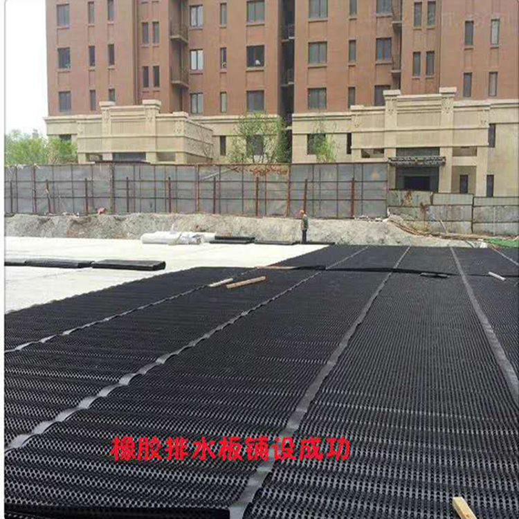 河南开封市屋面种植绿化塑料排水板 卷材30高1500克排水板
