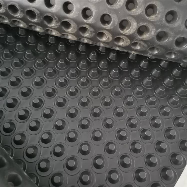 10高塑料排水板价格1公分塑料排水板厂家H10mm塑料排水板销售