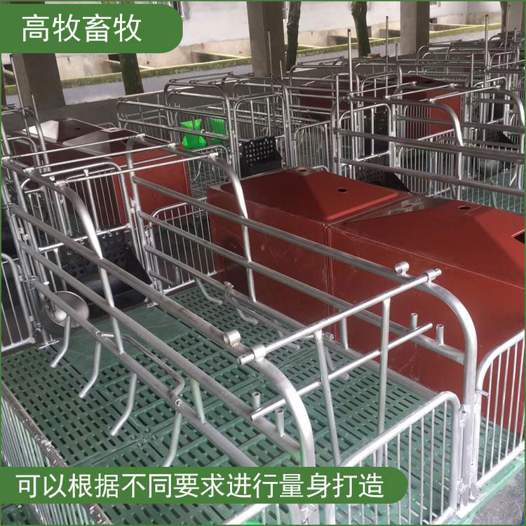 猪用定位栏 限位栏 复合漏粪板猪产床限位栏10个猪位可定制养猪设备