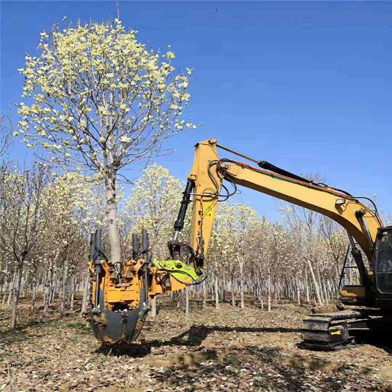 好的实在的常青挖树机 园林机械苗木移栽机 挖树机