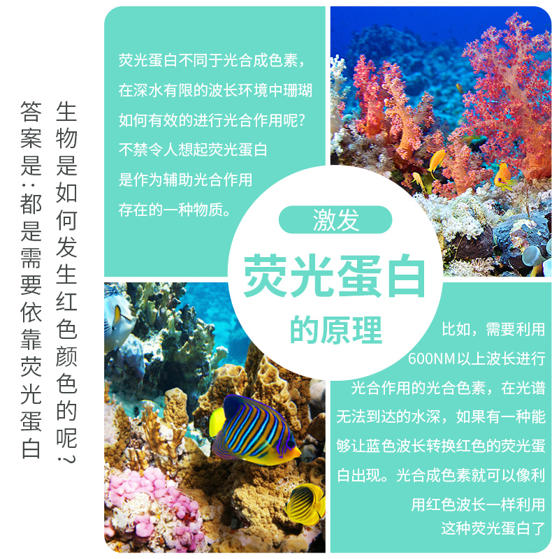 东莞淡水珊瑚灯 飞利浦 提供多样化照明产品