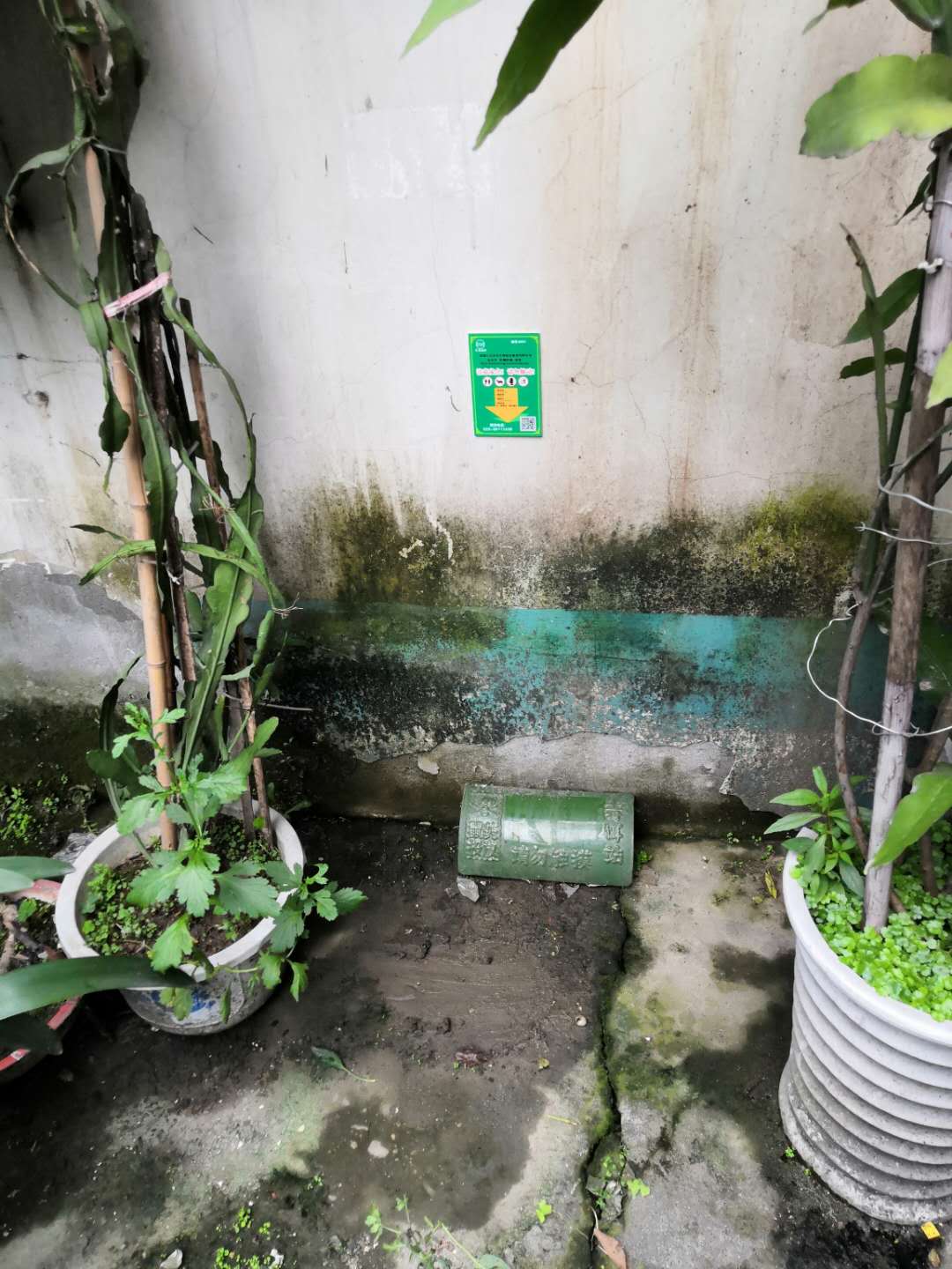 青白江社区灭鼠除虫项目 上门服务