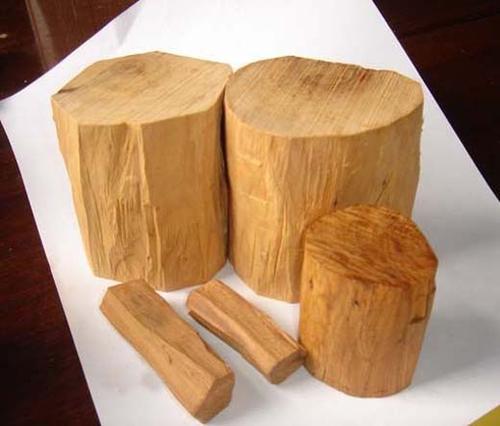 云南木材内部的解剖特征、树种鉴定服务