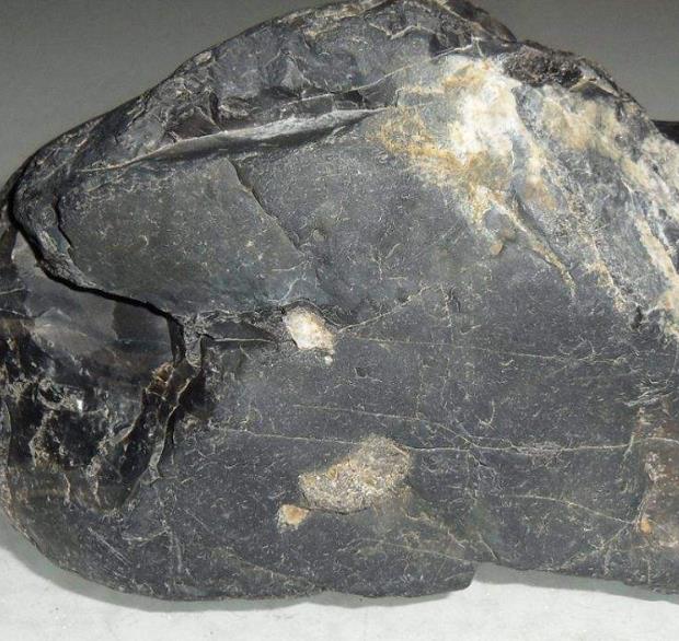 达州奇石化石鉴定收购机构