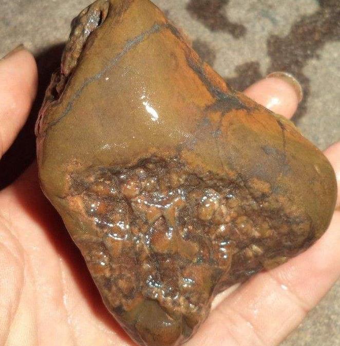 南充有奇石化石鉴定收购中心 成都玉石检测国家机构