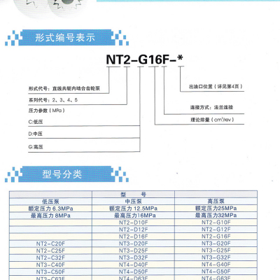 NT5-G125F 油 泵