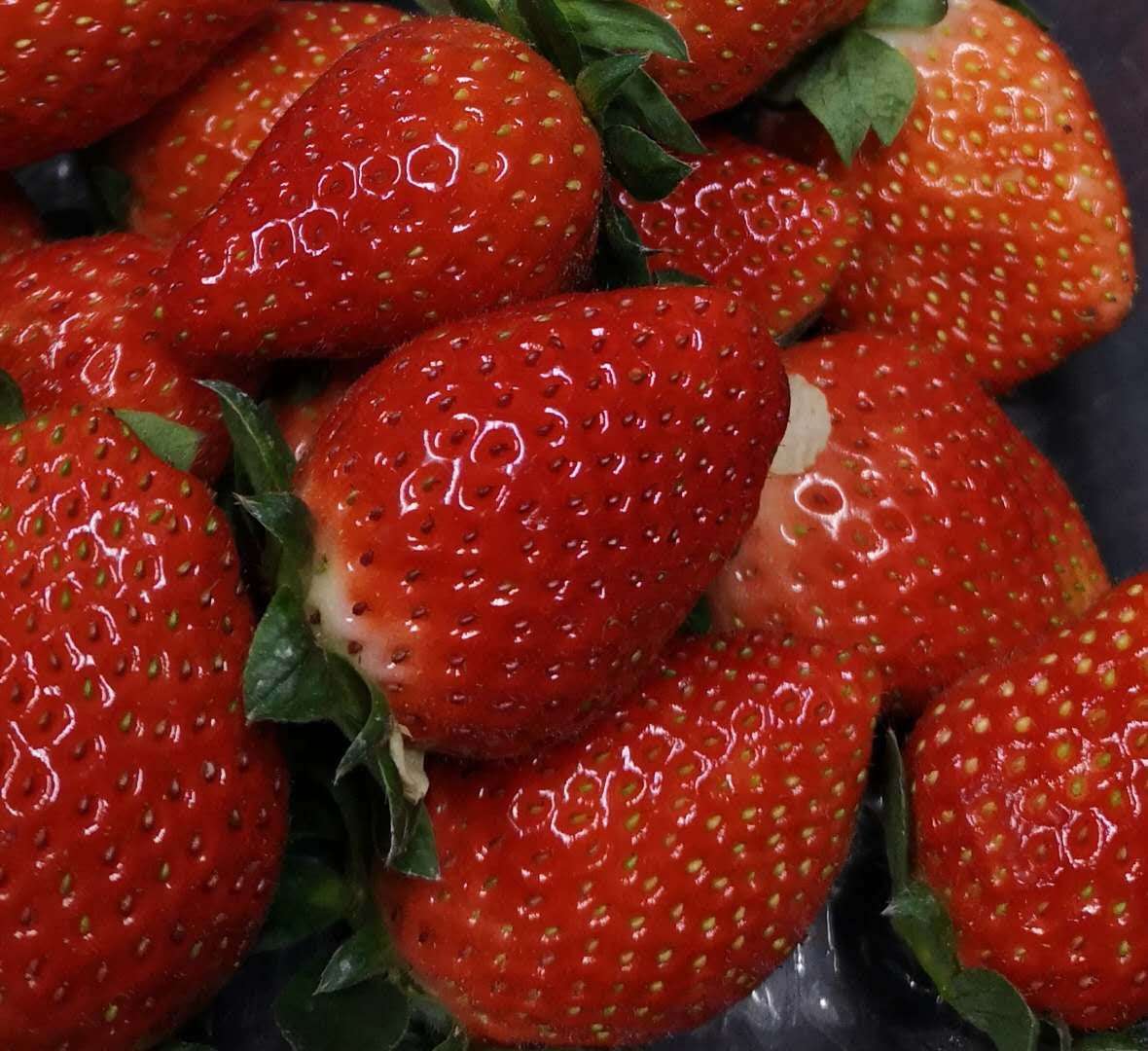 草莓，2020季草莓10月底开始，敬请期待！绿色高端精品奶油草莓红颜草莓