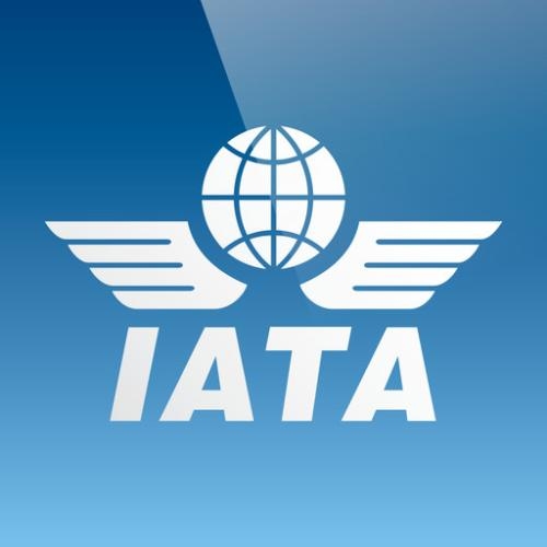 国际航协IATA资质无船承运人备案