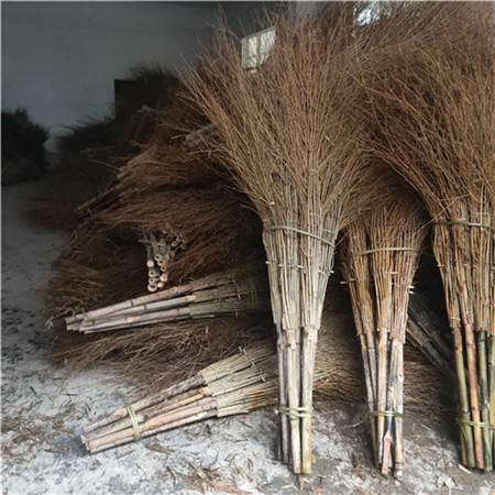 烟台金丝扫帚定制 竹扫帚 外形美观