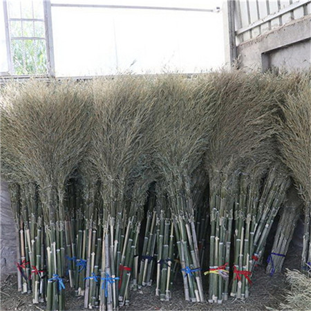齐齐哈尔竹丝扫帚供应商 竹扫帚 环保绿化