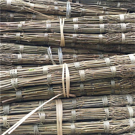拉萨金丝扫帚电话 竹扫帚 厂家货源
