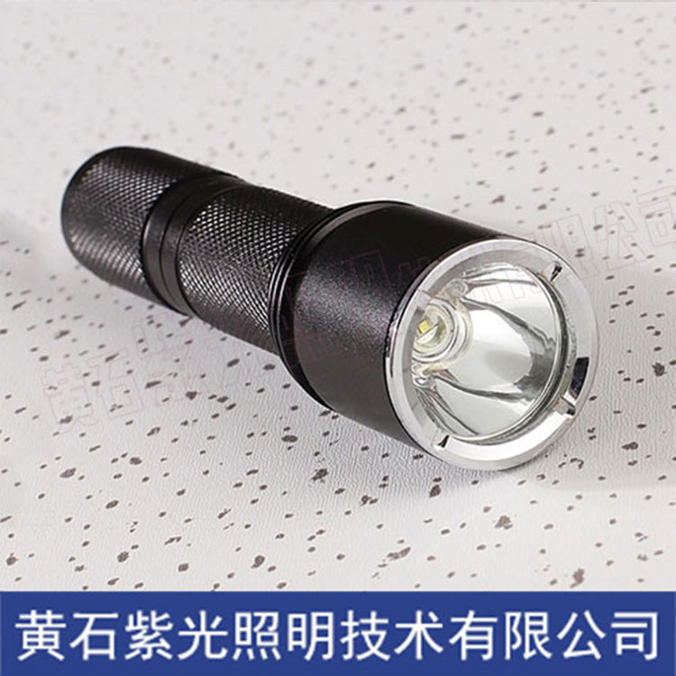 YJ1010固态微型强光防爆电筒 紫光工业照明