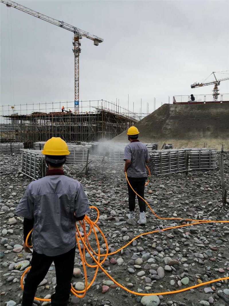 成都办公楼除跳蚤方法