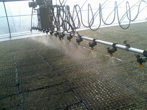 物流式苗床生产基地--花卉苗床灌溉