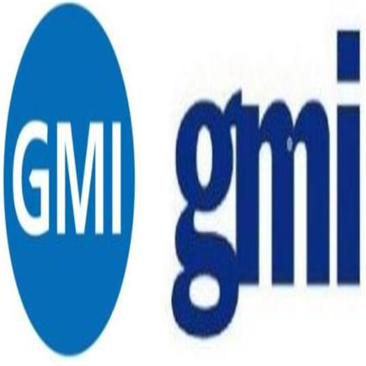 保定GMI认证水印审核