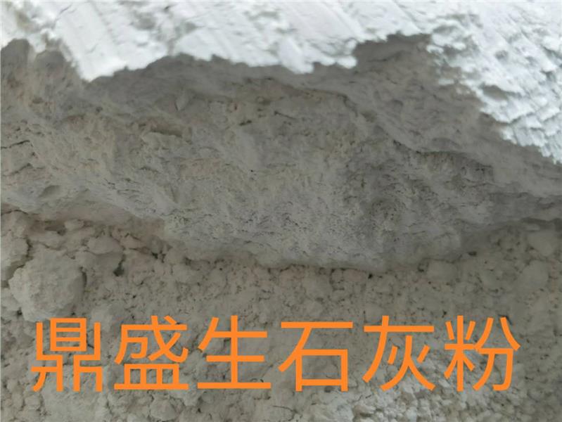 汕头生石灰干燥剂厂